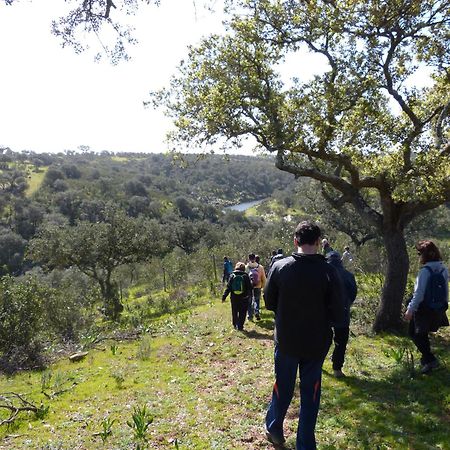 Agroturismo Xistos Cerca 外观 照片