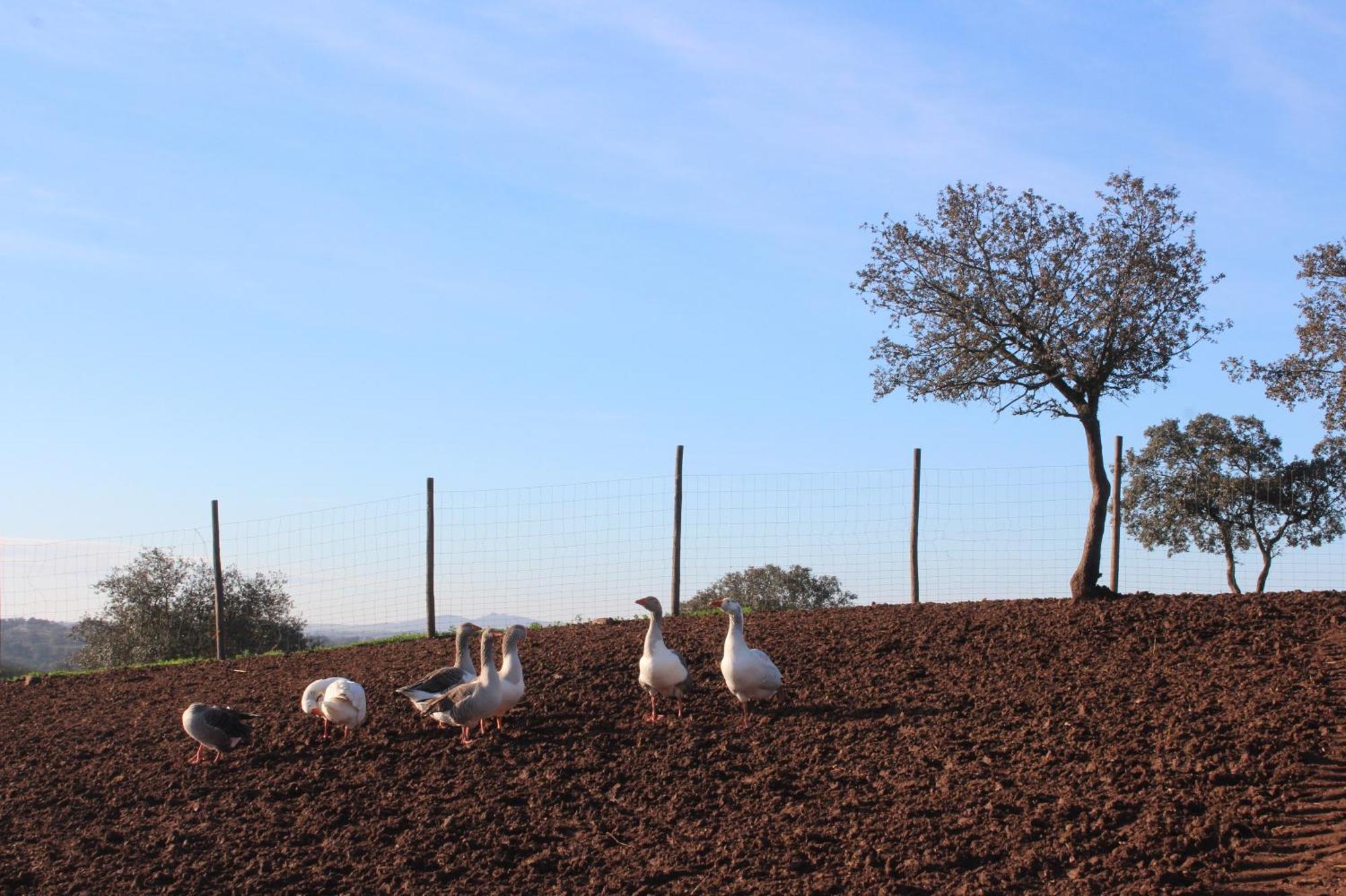 Agroturismo Xistos Cerca 外观 照片