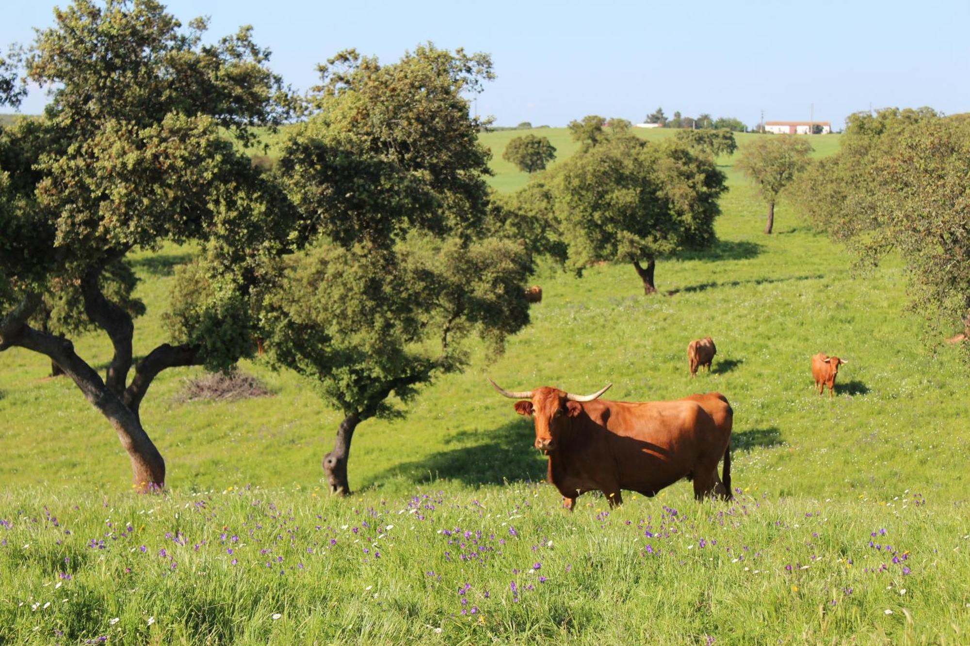 Agroturismo Xistos Cerca 外观 照片