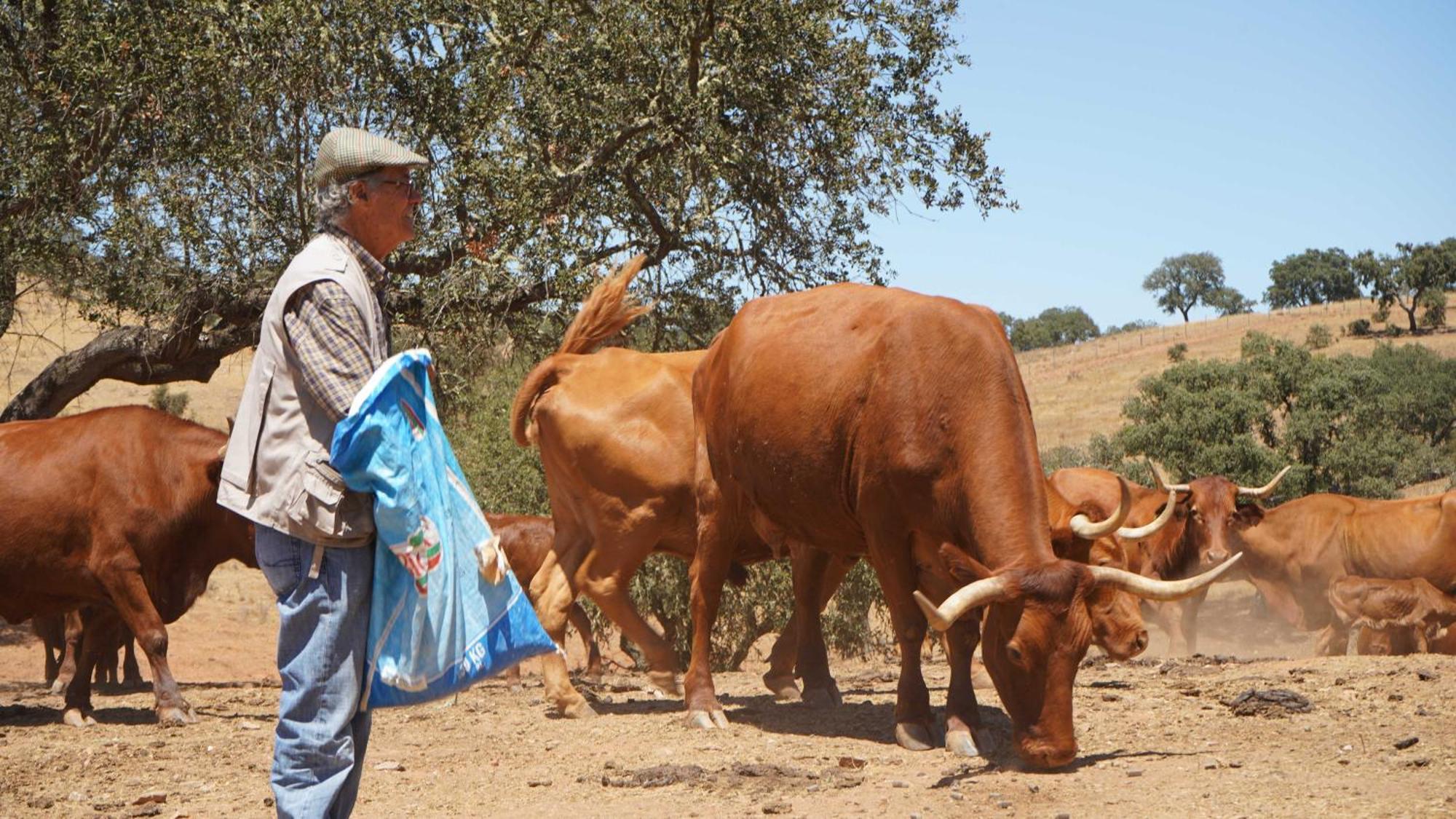 Agroturismo Xistos Cerca 外观 照片